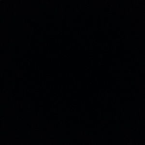 Meet your Posher, Timothy